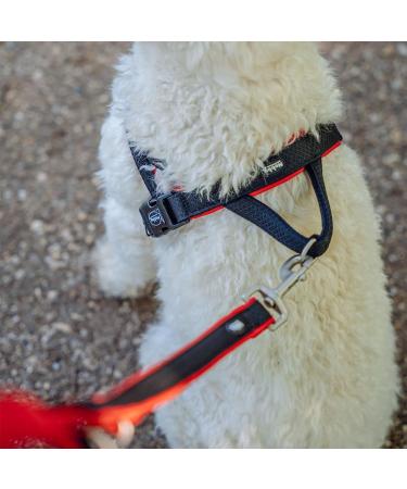 Nobby Norwegian Harness Mesh Preno - Pink Adjustable L: 38-50 cm 20/25 mm Pack of 6 - Lightweight & Comfortable - Buy Online on SooperMarket.com