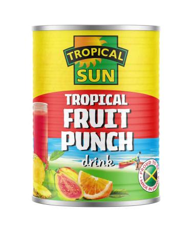 Tropical Sun Fruit Punch 24 x 540ml