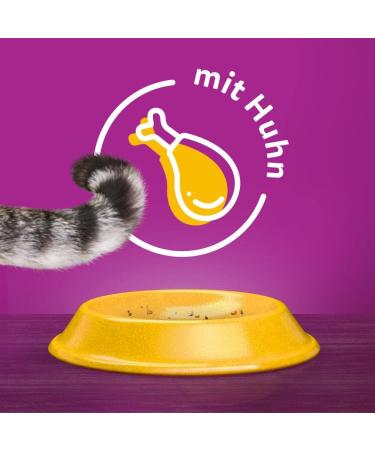 Whiskas Chicken Nuggets for Cats - 3.8 kg | Premium Cat Food - International Shipping Available - Buy Online on SooperMarket.com