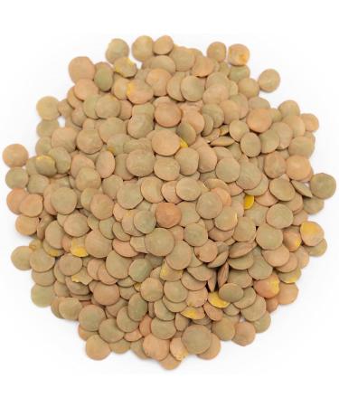 Forest Whole Foods Organic Green Lentils 1 kg - Buy Online on SooperMarket.com