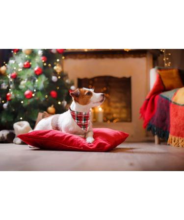 Buy Lionet Paws Christmas Dog Bandana | Headscarf & Towel for All Dog Sizes - Festive Holiday Style - Buy Online on SooperMarket.com