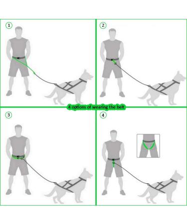 DINGO Canicross Belt 4-in-1 | Universal Adjustable Hands-Free Dog Walking Belt | Reflective Multifunctional | Running Sports Jogging Training | Black Waist Belt (12780-2) - Buy Online on SooperMarket.com