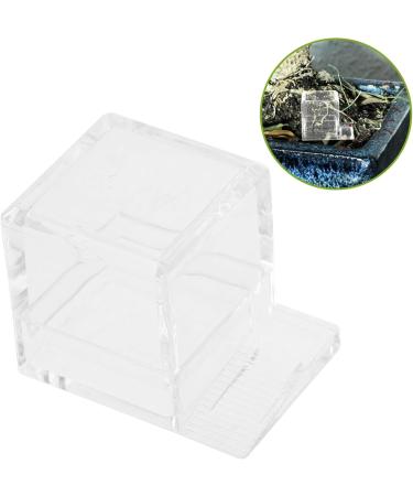 HANABASS 2pcs Pet Water Feeder Ants Farm Accessory Ants Water Drinking Bowl Mini Liquid Feeder Plastic - Buy Online on SooperMarket.com