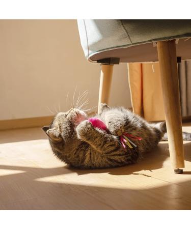 5Pcs Catnip Toy Set - Interactive Pink Fish & Feather Teaser for Kittens | Catnip Filled Plush Toys for Teething Chew Cat Wand Accessories - Buy Online on SooperMarket.com