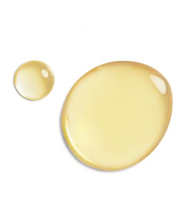 DHC CoQ10 Lotion - Alcohol-Free Hydrating Anti-Aging Moisture for All Skin Types 5.4 fl. oz - Buy Online on SooperMarket.com