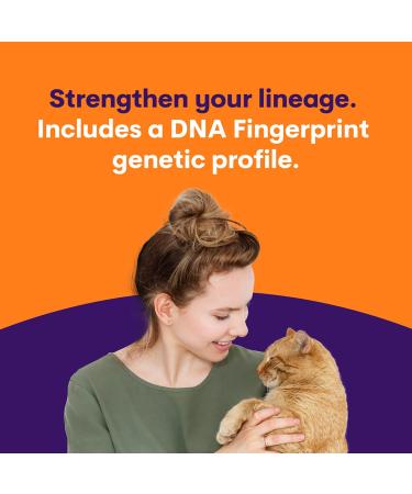ORIVET Cat Breed DNA Test - 1 Pack | Comprehensive Genetic Health Screening & LifePlan | At Home Cheek Swab | Accurate & Fast Results - Buy Online on SooperMarket.com