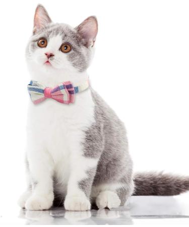 Tagme Pink Cat Collar with Name & Phone Number - Safety Closure & Bell - 1-Pack Kitten Accessory - Buy Online on SooperMarket.com
