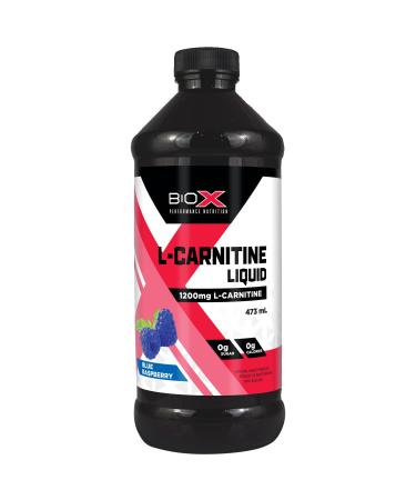 BioX L-Carnitine Liquid 1200mg | 100% Pure L-Carnitine Tartrate | Stimulant Free Weight Loss Support Exercise Performance Muscle Recovery | Sugar Free Calorie Free | 473 mL Blue Raspberry (Pack of 1) 473 ml (Pack of 1)