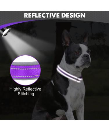 Shop Joytale Purple Neoprene Dog Collar - Softly Padded Reflective for Medium Dogs | Durable & Comfortable (1 Pack) - Buy Online on SooperMarket.com