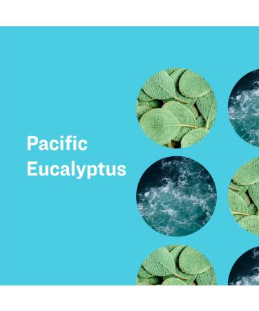 Everyone Pacific Eucalyptus 3-in-1 Soap - 32 oz | Natural Eco-Friendly Body Cleanser for All Skin Types | Shop Internationally - Buy Online on SooperMarket.com