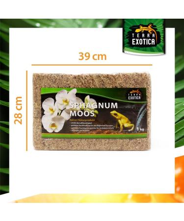 Buy Terra Exotica Sphagnum Moss (3x1 Kg) - Premium Peat Moss for Garden Houseplants & Terrariums - International Shipping Available - Buy Online on SooperMarket.com
