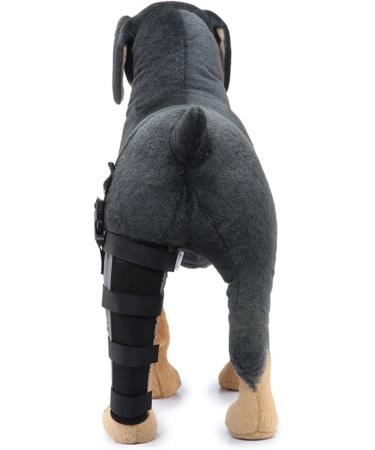 Dog Rear Leg Protector Dog Safe Neoprene Material Rear Leg Support Prevent Licking for Injury Recovery (L) - Buy Online on SooperMarket.com