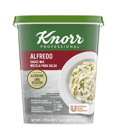 Knorr Professional Alfredo Sauce Mix Made With Real Parmesan Cheese, Gluten Free, No Artificial Colors, Flavors, or Preservatives, 1 lb, Pack of 4