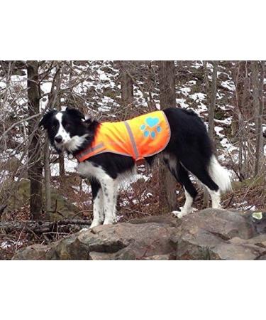 SafetyPUP XD - Reflective Dog Vest | Hi-Visibility Blaze Orange Vest for Medium Dogs | Protect Your Pup from Accidents - Buy Online on SooperMarket.com