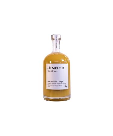 Organic Ginger & Mint - 200ml - Ginger Concentrate - Vegan - Reflux - Immune Booster -Heartburn