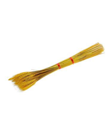 Zerodeko 100pcs Dried Wheat Ears Bouquet Decor Flowers Wheat Ear Dried Flowers Bouquet Wheat Stalks Floral Arrangement Wheat Ear Wedding Wheat Ear Desktop Gift Dried Flowers.