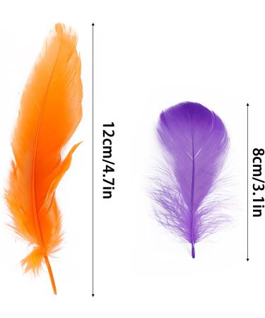 Coceca 300pcs Colorful Feathers for DIY Craft, Wedding, and Party Decor - Buy Online on SooperMarket.com