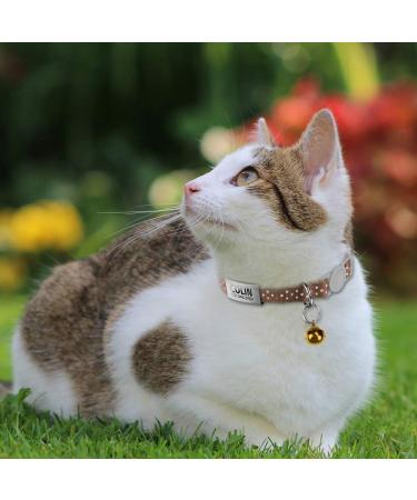 Tagme Cat Neck Band with Name & Address | Safe Closure Cat Necklace | 2 Pack Brown (18cm-30cm) | International Shipping - Buy Online on SooperMarket.com