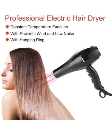 Valentine's Day Carnival Boquite Hair Dryer Hair Dryer Blower Professional 3000W Salon Hair Dryer Negative Ion Thermostatic Hair Blow Dryer - Buy Online on SooperMarket.com