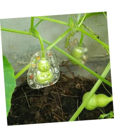 GANAZONO 10 Pcs Vegetable Plastic Fruit Fruits Ginseng Fruit Cucumber Modeling 7.6x5.6cmx2pcs Transparentx2pcs - Buy Online on SooperMarket.com