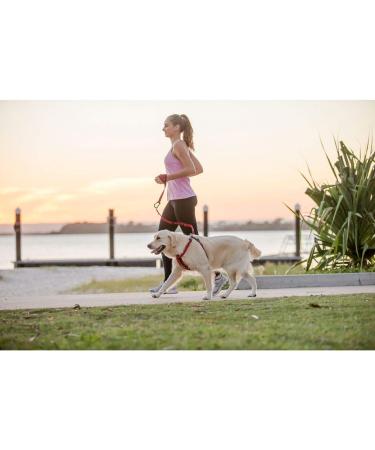 EzyDog Hands-Free Dog Leash - Black | Convenient and Comfortable - Buy Online on SooperMarket.com