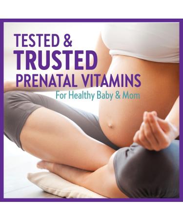 New Chapter Prenatal Vitamins Prenatal Multivitamin with Methylfolate + Choline for Healthy Mom Baby One Daily 60 Count 1 count (Pack of 90) - Buy Online on SooperMarket.com