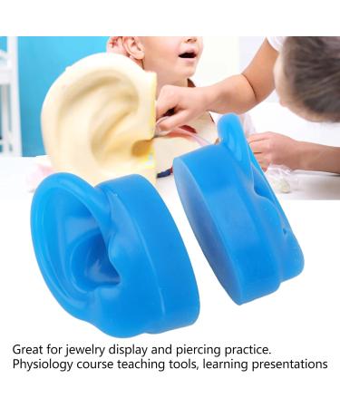 Silicone Human Ear Model (Small) - Reusable Teaching Prop for Schools & Hospitals - Buy Online on SooperMarket.com