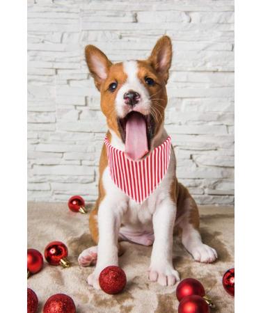 Buy Lionet Paws Red & White Striped Dog Bandana - Triangle Scarf for Stylish Pets - International Shipping Available - Buy Online on SooperMarket.com