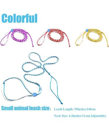 AsoCea 4-Piece Hamster Dishes & Adjustable Nylon Running Line for Guinea Pigs Chinchillas Ferrets Rats Mice & Squirrels - Ideal Pet Accessories - Buy Online on SooperMarket.com