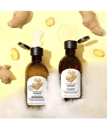 The Body Shop Ginger Anti Dandruff Shampoo Green Honey 400ml - Pack of 1 - Buy Online on SooperMarket.com