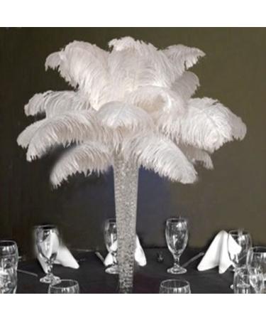 Shekyeon 12-14inch(30-35cm) Ostrich Feathers Plumes for Wedding Centerpieces Pack of 10(White)