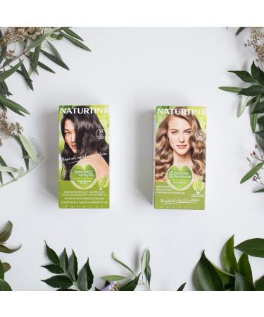 Natureint Biobased Hair Color No Ammonia 5G Chestnut Brown Light - 3 Pack | 510ml - High Natural Ingredients - Buy Online on SooperMarket.com