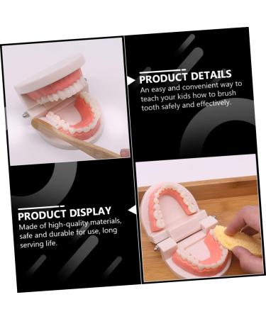 Shop Healvian 3 Sets Early Dental Education Toys - Wooden Denture Model for Kids | Reusable Toiletries - Buy Online on SooperMarket.com