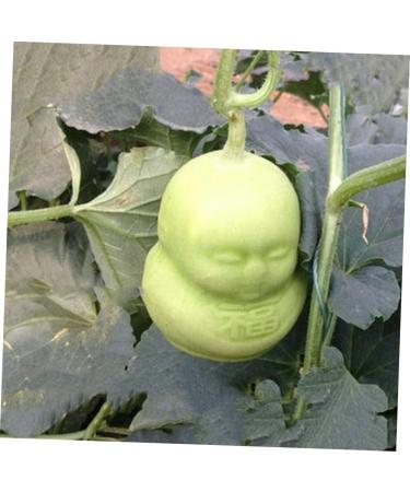 EXCEART Peach Mold 6 Pcs Vegetable Shaping Mold Fruit Transparent Forming Mould Adorable Forming Mold Modeling Pumpkin - Buy Online on SooperMarket.com