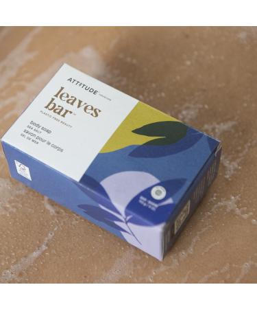 ATTITUDE Sea Salt Body Soap Bar - 4 oz | EWG Verified, Plastic-Free, Vegan & Cruelty-Free - Buy Online on SooperMarket.com
