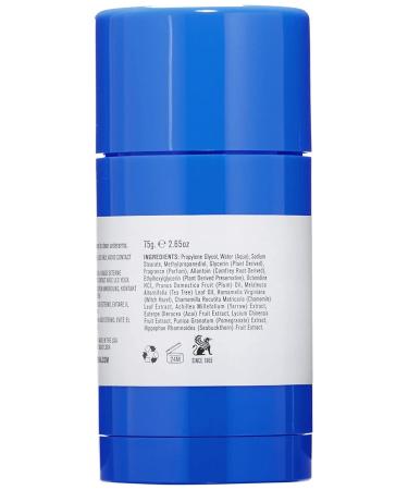 Aluminum-Free Baxter of California Deodorant for Men | Clear Stick, Citrus & Herbal-Musk Scent | 2.65 oz (1 Pack) - Buy Online on SooperMarket.com