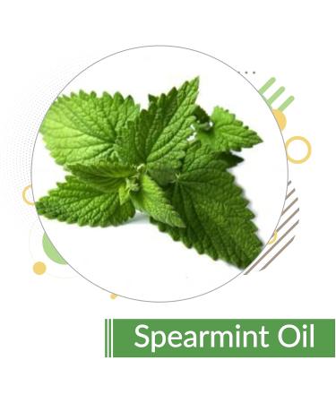 Crysalis Spearmint (Mentha Spicata) Oil |100% Pure & Natural Undiluted Essential Oil Organic Standard Spearmint Antioxidant Oil Reduces Fine Lines & Skin Imperfections Reduce Breakouts -15ml Dropper 15 ml (Pack of 1) - Buy Online on SooperMarket.com