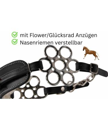 AMKA Hackamore Flora - Soft Padded Bitless Bridle with Flower Wheel | Brown | International Shipping Available - Buy Online on SooperMarket.com