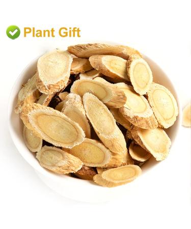 Buy Astragalus Root Tea 120g | Pure Herbal Caffeine-Free No GMOs - Premium Chinese Tea for Wellness - Buy Online on SooperMarket.com