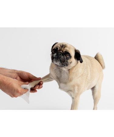 Zipy Dog Wipes - 350 Natural Deodorizing Care Cloths for Cats & Dogs | Fragrance-Free Moisture Towels for Paws Ears & Body - Buy Online on SooperMarket.com
