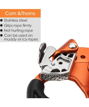 Paliston Climbing Hand Ascender for 813mm Rope - Left & Right | Ideal for Rock Climbing & Arborist - Buy Online on SooperMarket.com