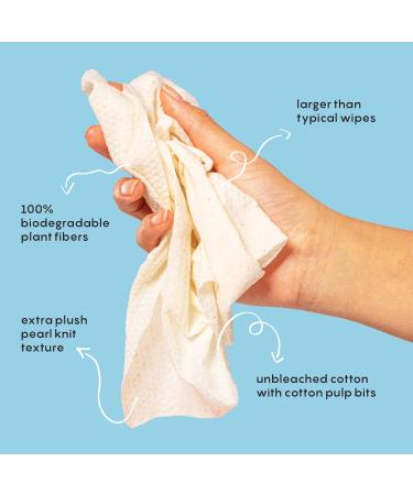 Calm Line 15ct Unscented Deodorant Wipes for Women with Zinc, Prebiotics & Papaya - Individually Wrapped Gentle Brightening Odor Control & Cleansing Wipes - Buy Online on SooperMarket.com