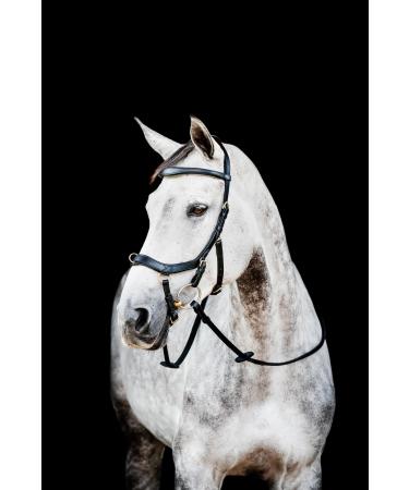 Horseware HW Micklem2 Multi Bridle Warmblood Black