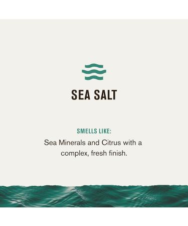 Every Man Jack Men's 2-in-1 All Over Bar - Sea Salt (Pack of 3) | Parabens-free, Pthalate-free, Dye-free | Cruelty Free & Eco-Friendly Packaging - Buy Online on SooperMarket.com