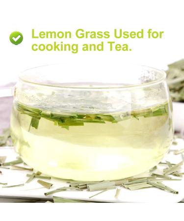 Buy PlantGift Dried Lemongrass Tea Figs - Premium Quality International Shipping - Buy Online on SooperMarket.com