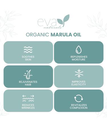 Organic Marula Oil 2oz - Virgin Moisturizing Beauty Oil for Face and Hair | Cold Pressed Anti-Aging Formula with Omegas & Antioxidants - Buy Online on SooperMarket.com