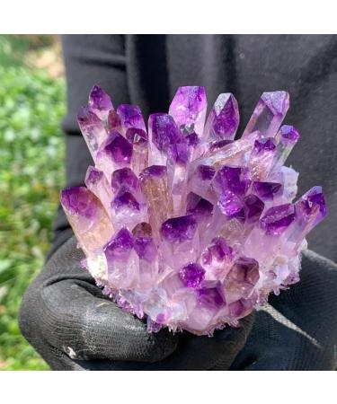 Purpl Phantom Quartz Crystal Cluster Specimen 400g Suitable for Home HOMEZHOU - Buy Online on SooperMarket.com