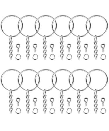 Paxcoo 100Pcs Keychain Rings with Chain and 100 Pcs Screw Eye Pins Bulk for Crafts Silver