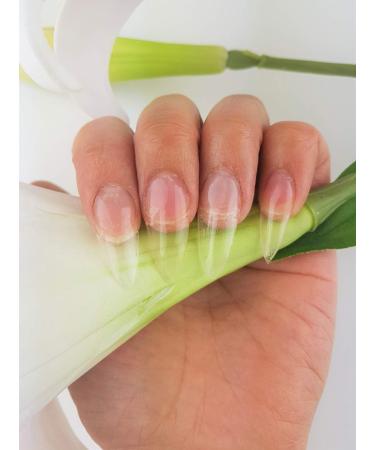Acrylic Nail French Manicure Kit Nail Acrylic Powder Collection Set of 3 Colors -Pink Clear white Powder Builder Professional Acrylic Nail System (Peach Clear White) - Buy Online on SooperMarket.com