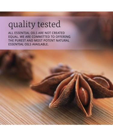 NOW Anise Oil 1-Ounce Pack of 2 | Pure & Natural Essential Oil - Buy Online on SooperMarket.com